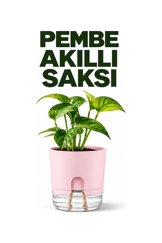 Akıllı Saksı Kendinden Sulamalı Fitilli Modern Dekoratif Saksı 2 Litre 70160191