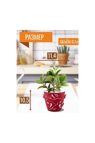 Komvi Home Çiçek Saksıları Seti 199022734