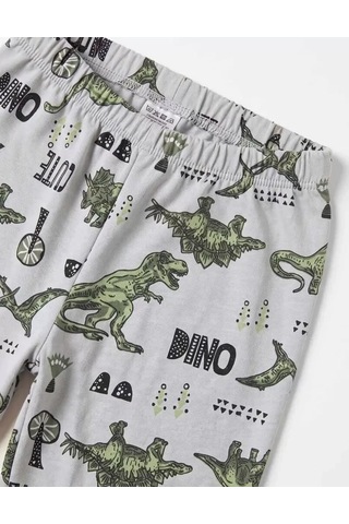 Veraura Lifestyle 4/10 Yaş Dino Baskılı Pamuk Penye Çocuk Pijama Takımı Gri