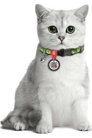 Waudog Collar Qr Pasaportlu Kedi Ve Ufak Irk Köpek Boyun Tasması 20-30 Cm, 10 Mm, L, Avocado