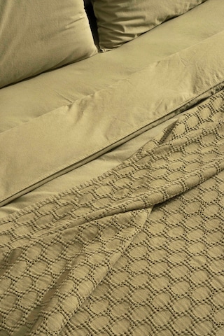 Kaay Premium Lastikli Çarşaf Dahil Nevresim Takımı 200x220 Çift Kişilik Yağ Yeşili