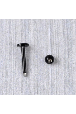 Siyah Labret Düz Piercing Tek Toplu Cerrahi Çelik Dudak Helix Küpe