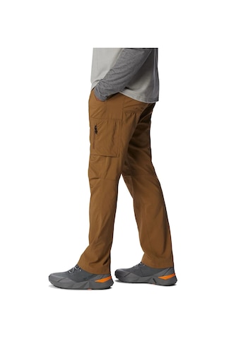 Columbia Silver Ridge Utility Erkek Pantolon-5311 Delta Kahve