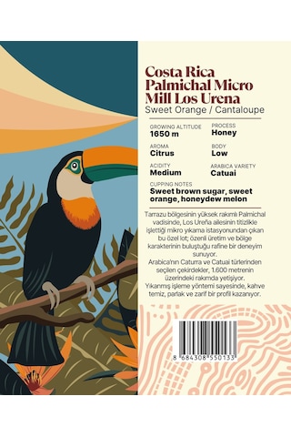 Costa Rica Palmichal Micro Mill Los Urena Yöresel Filtre Kahve 250 Gr. Çekirdek Kahve