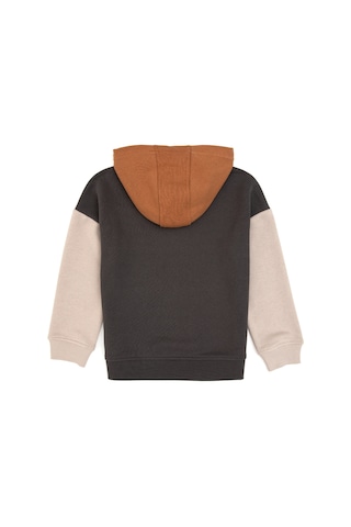 U.s. Polo Assn. Erkek Çocuk Gri Sweatshirt 50316469-vr024 Grı