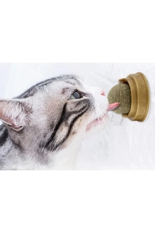 Buğz Kedi Otu Oyun Topu