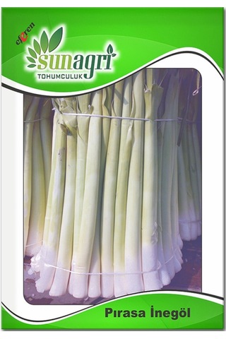 Inegöl Pırasa Tohumu