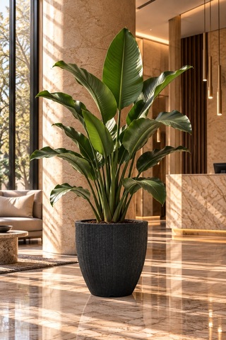 Bostann Dekoratif Saksı - Botonıa 030 - 50l - Antrasit 50 Lt