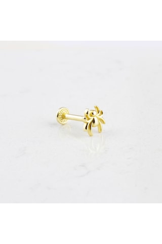 Glorria Altın Örümcek Tragus Piercing Altın