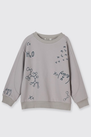 Panço Erkek Çocuk Baskılı Taş Sweatshirt Gri