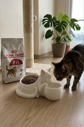 Kedi Figürlü Mama Kabı Çift Hazneli Dekoratif Mama Ve Su Kabı 25 Cm