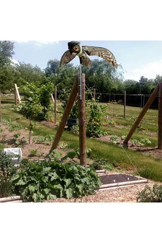 Uş Uzaklaştırıcı Maket Baykuş Prowler Owl