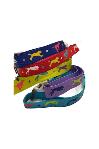 Leaping Dog Premium Boyun Tasması 2,5 Cm X 40-65 Cm Çok Renkli