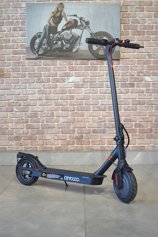 Citycoco X350 Watt Katlanabilir Elektrikli Scooter Siyah