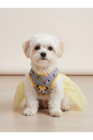 Sevimli Fare Sunny Tütü Köpek Kıyafeti Sarı Tütülü Elbise Küçük Irk Köpekler İçin
