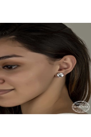 Swarovski Crystal Taşlı Gümüş Çivili Kadın Küpe Diğer