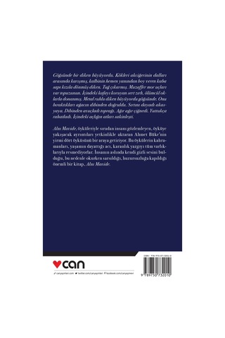 Alnı Mavide - Ahmet Büke - Can Yayınları