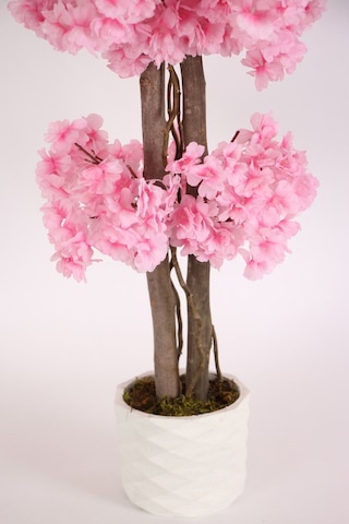 Alçı Saksıda Yapay Bahar Dalı Ağacı 105 Cm Pembe Ypcck