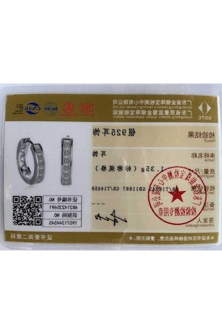 Novahub 925 Ayar Gümüş Mozanit Küpe - 2.6 Karat D Renk Zirkon, Gra Sertifikalı Kadın Takı Gümüş