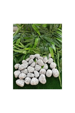 Ekodoğa Granit Dolomit Taş 25 Kg 2 5 4 Cm Siyah Beyaz Dekoratif Bahçe Taşı Dekor Sku: Smgstk44404cc5b2