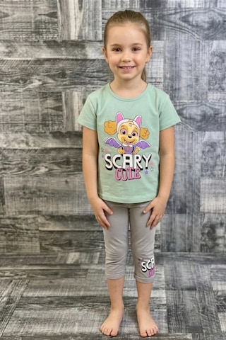 Koçak Kids Paw Patrol Skye Baskılı Yeşil Renk Kız Çocuk Taytlı Takım
