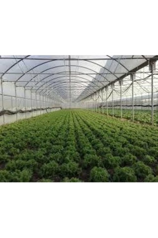 36 Aylık Sera Naylonu 360 Mikron Uv Ir Eva Ld Katkılı 7x14
