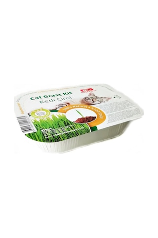 Bio Petactive Cat Grass Fileli Doğal Kedi Çimi Kiti 2'li