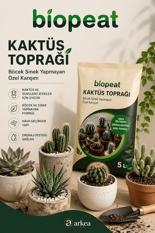 5 Lt Kaktüs Toprağı Sukulent Ve Kaktüsler İçin Hava Geçirgen Özel Karışım 1000