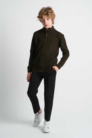 Alexandergardı Fermuarlı Dik Yaka Hırka Haki