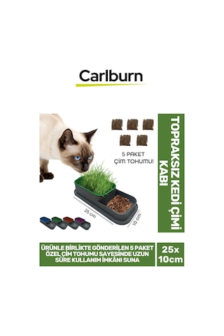 Özel Üretim 5 Adet Kedi Çimi Tohumu Topraksız Kedi Çimi Kabı 25x10cm