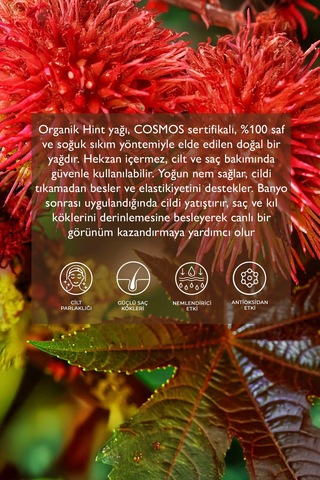 Organik Hint Yağı