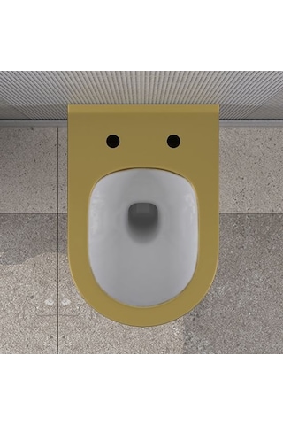 Lucco Asma Klozet İçi Beyaz Dışı Komple Altın