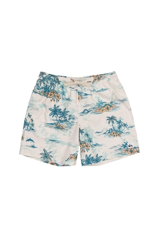 Quiksilver Eqyjv04063 Longmanhill Volley Erkek Şort Mayo 001