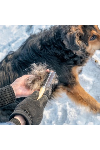 Köpekler İçin Astar Tırmığı, Bakım Fırçası Seti, Uzun Diş Astarı Köpek Tırmığı + Pire Tarağı, Deshedding Aracı Güzellik Çelik Tarağı Golden Retriever Husky Alman Çoban Köpeği Uzun Tüylü Kedi