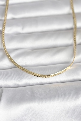 Ceylan Adam Cm 14k Gold Renk Yassı Zincir Model 45 Cm Kadın Kolye Çok Renkli