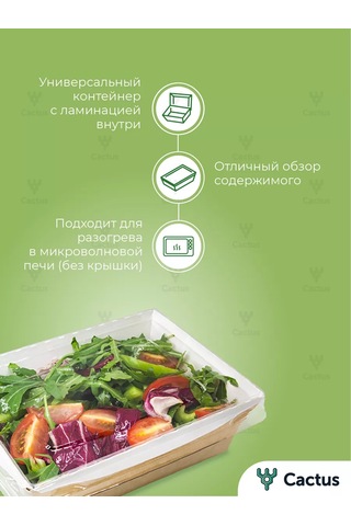 Cactus Tek Kullanımlık Trigloff Kutu, 1000 Ml Yemek Kapları 224868225 100 adet