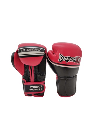 Dragondostore Dragon 30322-L Storm Hakiki Deri Boks Eldiveni