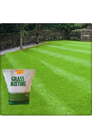 6 Farklı Çim Tohumu Karışımı Galaxy GRassmixture KG Seçiniz 1 KG 20 M²