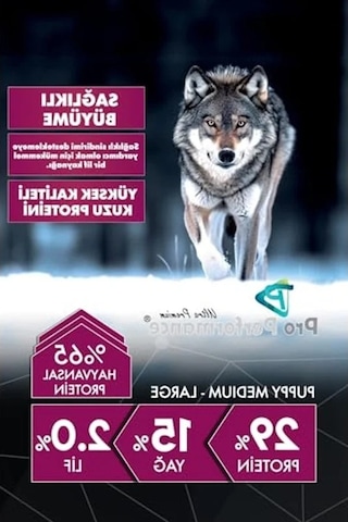 12 Kg Kuzulu Ve Yaban Mersinli Orta Büyük Irk Yavru Köpek Maması