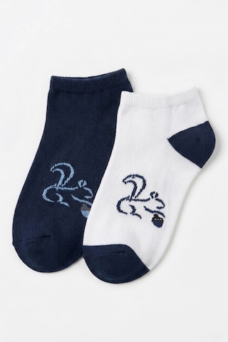 Cocole Socks Erkek Çocuk Patik Çorabı 2 Li Set Beyaz & Lacivert Sincap Desenli Çok Renkli