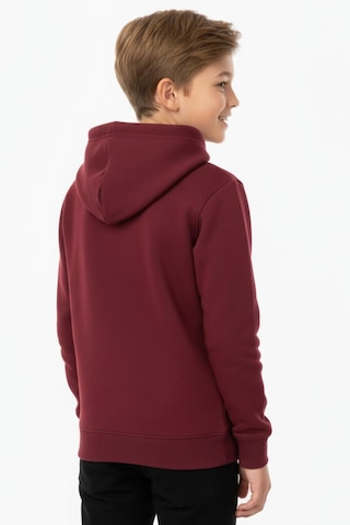 Erkek Çocuk Bordo Kapüşonlu Cepli 3 İplik Sweatshirt Bgl-st05002 Bordo