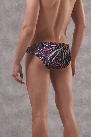 Doreanse Erkek Zebra Baskılı Külot Slip 1409