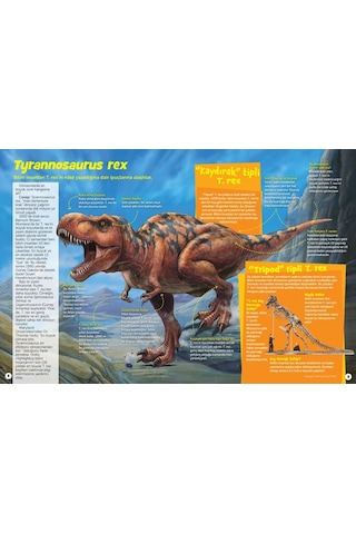 Dinozor Sevenler Için Hidden Pictures 523132913
