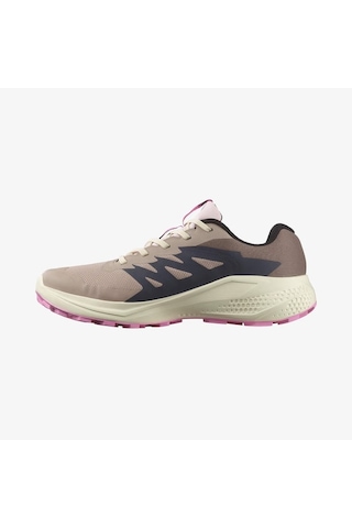 Salomon Alphaglide Gore-tex Kadın Koşu Ayakkabısı L47857900 Bej