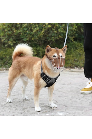Pasha Pet Metal Deri Köpek Ağızlığı S - 30 Cm
