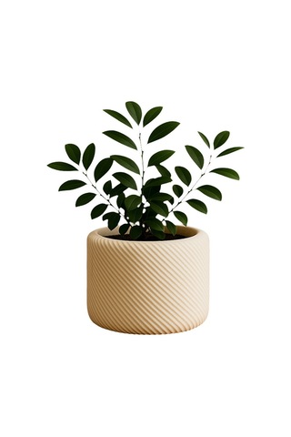 Minimal Çizgili Dekoratif Saksı