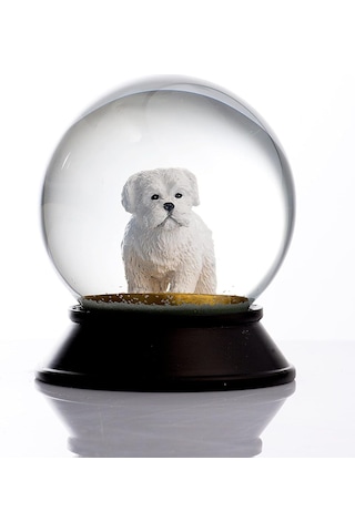 Ve Reçine Altın Patiler Köpek Maltese Terrier Kar Küresi Hediye Diğer