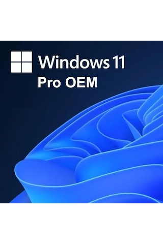 Windows 11 Pro OEM Lisans Key
