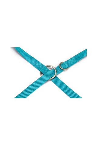 Beeztees Köpek Gezdirme Kayışı, Turkuaz, 200cm, 20mm Çok Renkli