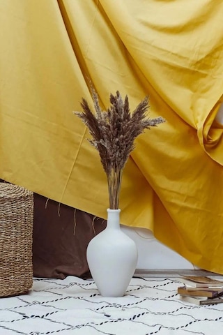 Natural 10 Adet Pampas Çiçek Dekor Çok Renkli
